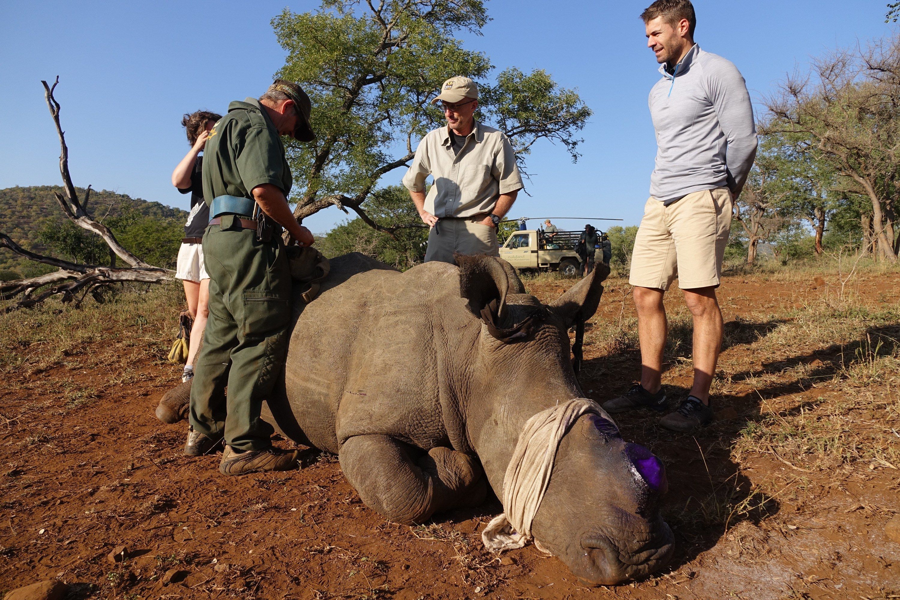 Tierschutz in Afrika: Interview mit Johan von Wildlife ACT