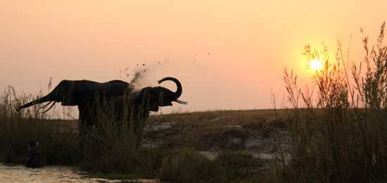 Johannesburg, Victoria Falls, Chobe - Part II