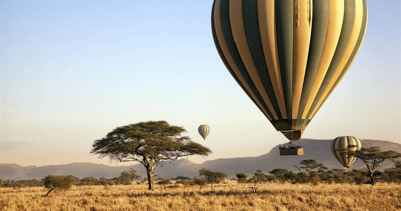 Erleben Sie mit uns die besten Reservate und Nationalparks in Kenia - auch vom Heißluftballon aus