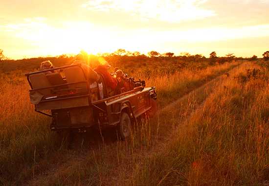 My Trip | A Honeymoon under the African sun