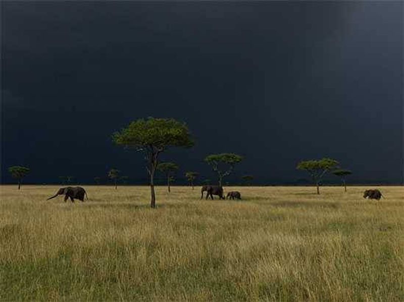 Photograph by Michael Nichols | National Geographic