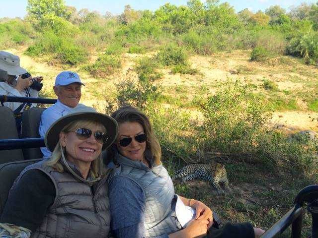 game drive leopard sighting very close Londolozi Tree Camp