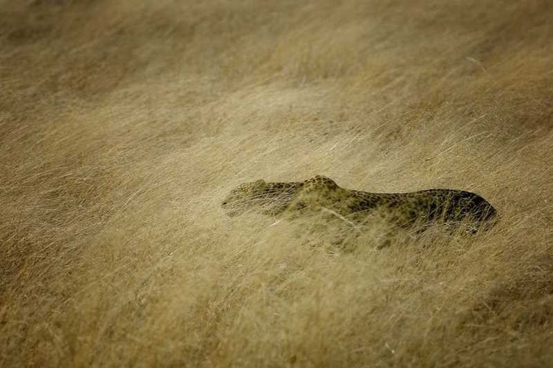 Randy Harris Photography