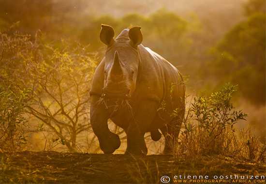 Through the Lens with Etienne Oosthuizen