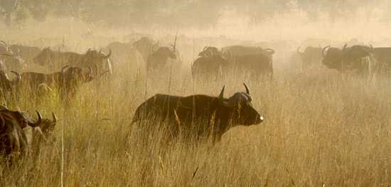 Cathrine's Adventure in Tanzania!!!