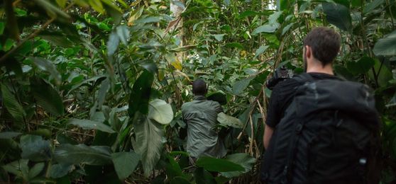 Las mejores actividades para hacer en el Congo
