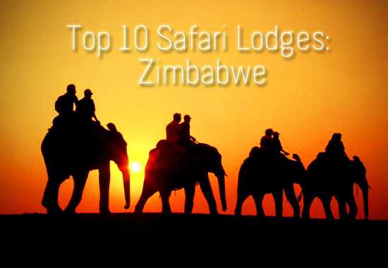 Rhino Africa's Top 10 Safari Lodges in Zimbabwe 2012