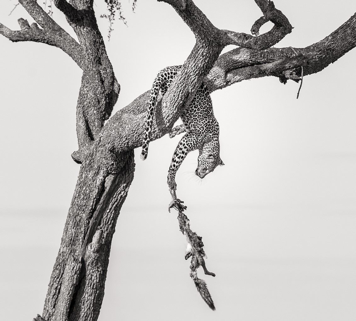 Interview mit dem Gewinner von Africa’s Photographer of the Year 2018