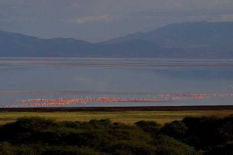The picturesque scenery of Lake Manyara