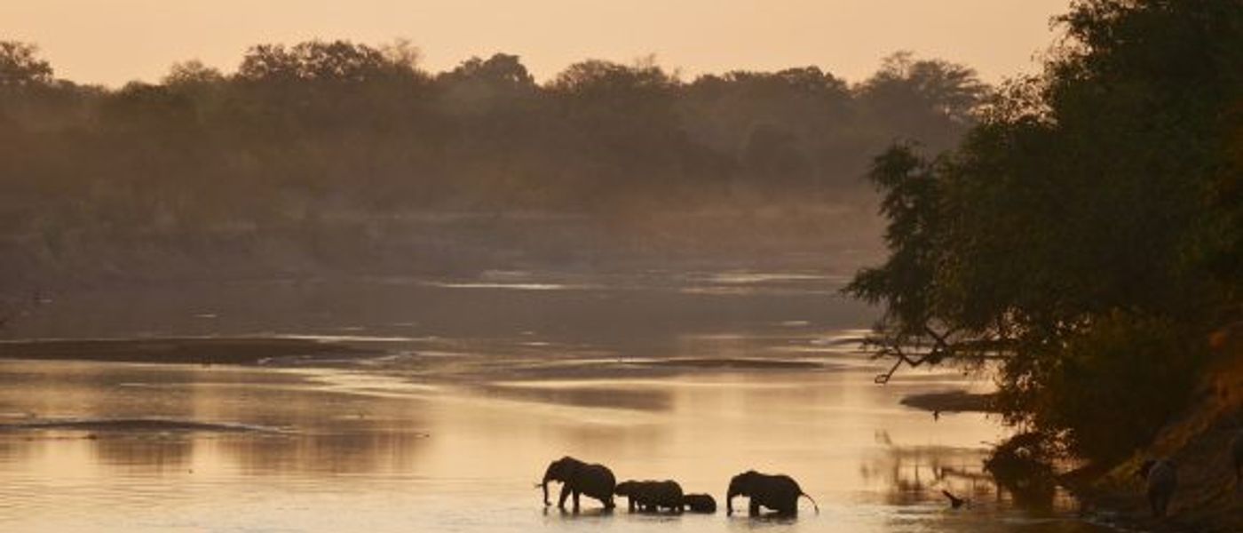Zambia Safari: Where The Wild Feels Closer