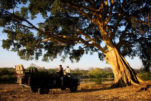 Un día de safari en una de las mejores reservas privadas del Kruger