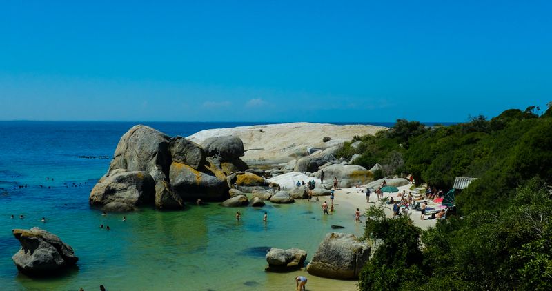 Pasa su día relajándose bajo el sol africano, haciendo un picnic o nadando en las olas junto a los pingüinos de Ciudad del Cabo