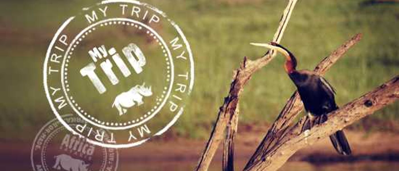 My Trip | "Our 2nd Time in Africa" by The Guits