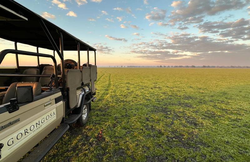 Safari vehicle parked on the open floodplains of Gorongosa National Park at sunset.