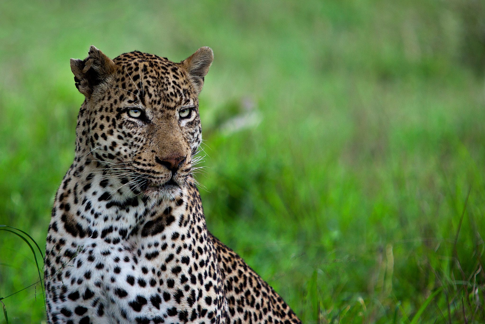 28 raisons de ne jamais voyager en Afrique