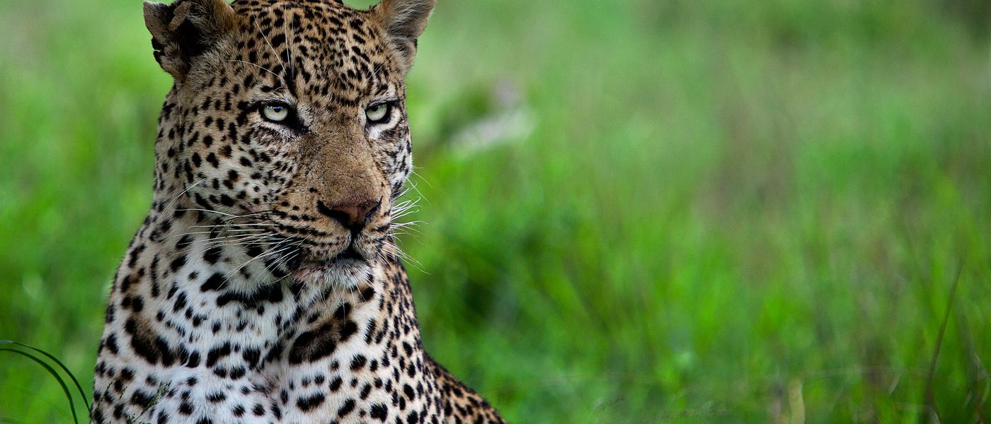 28 raisons de ne jamais voyager en Afrique