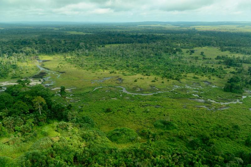 Aerial view of rainforest, wetlands, and winding waterways in Odzala-Kokoua National Park, Republic of the Congo.