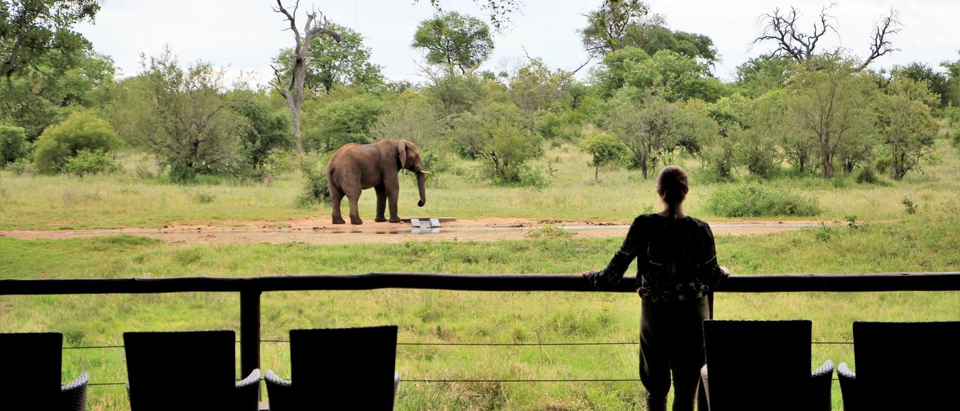Senalala Safari Lodge - A safari for all the senses
