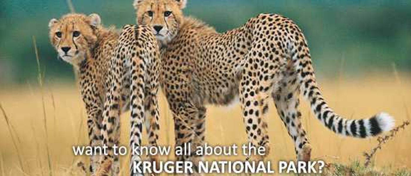 A Video Introduction to the Kruger National Park