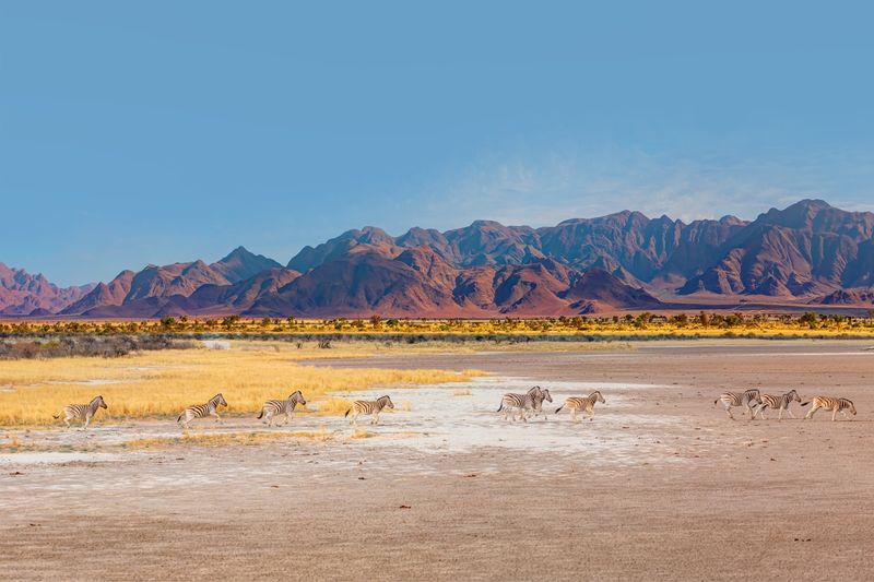 A landscape of Ethosa National Park in Nambia