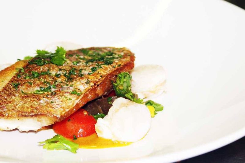 Hake and crayfish saffron braised fennel, curry leaf veloute warm curried sweet corn and potato salad