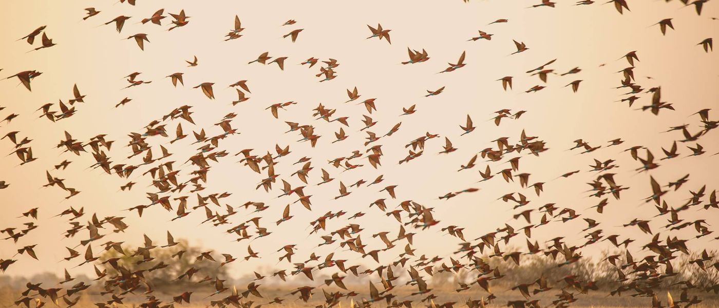 Okavango Delta Safari – FAQs