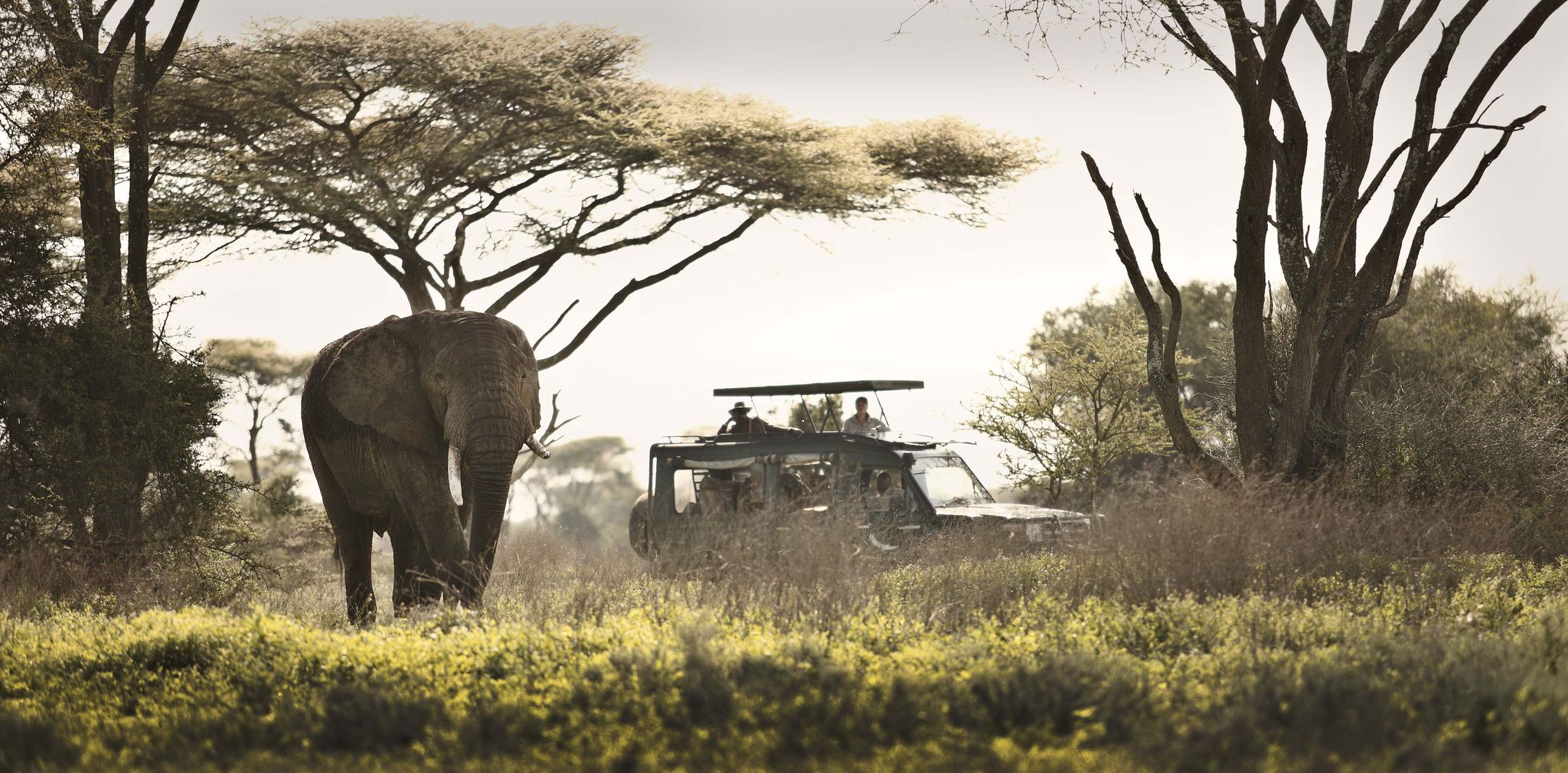 Siete días recorriendo África del este