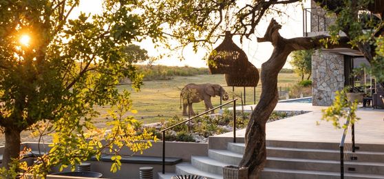 Top 10 des Lodges de Safari de Luxe en Afrique du Sud à Visiter en 2025