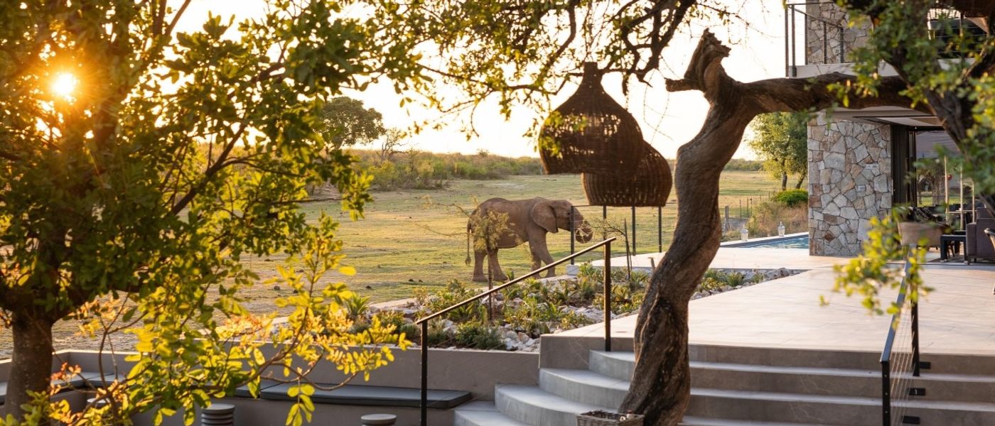 Top 10 Luxury Safari Lodges in South Africa to Visit in 2025