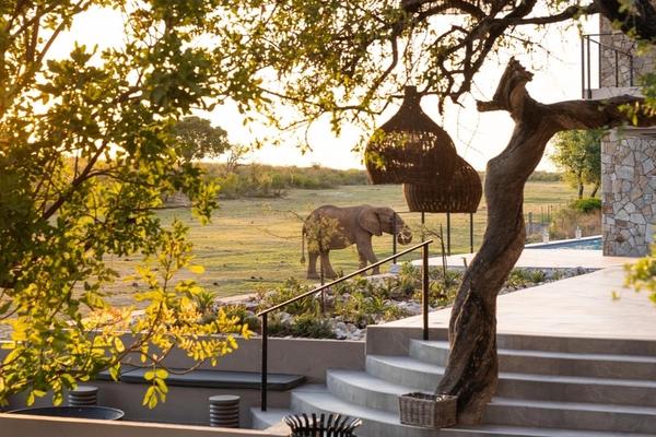 Top 10 des Lodges de Safari de Luxe en Afrique du Sud à Visiter en 2025