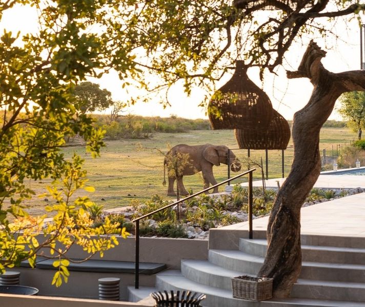 Top 10 des Lodges de Safari de Luxe en Afrique du Sud à Visiter en 2025