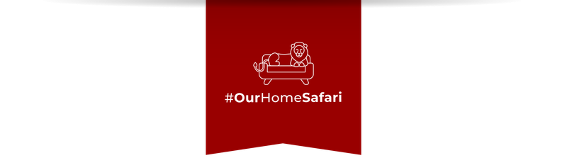 Rhino Africa: Our Home Safari - Bringing Africa to your home
