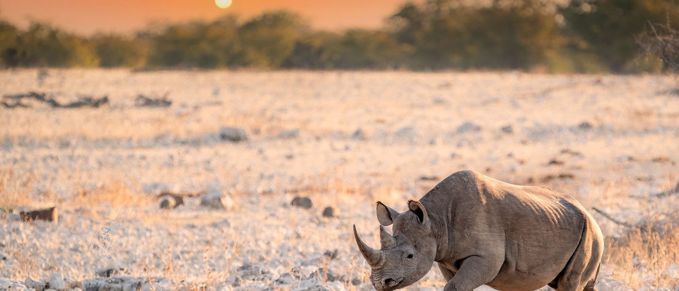 Top 9 Reiseziele in Namibia