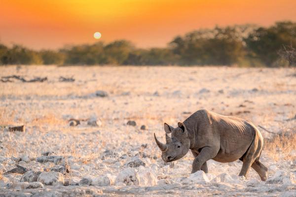 Top 9 Reiseziele in Namibia