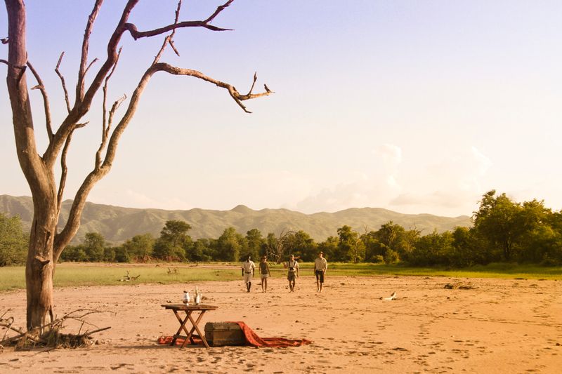 Walking safari in Kariba