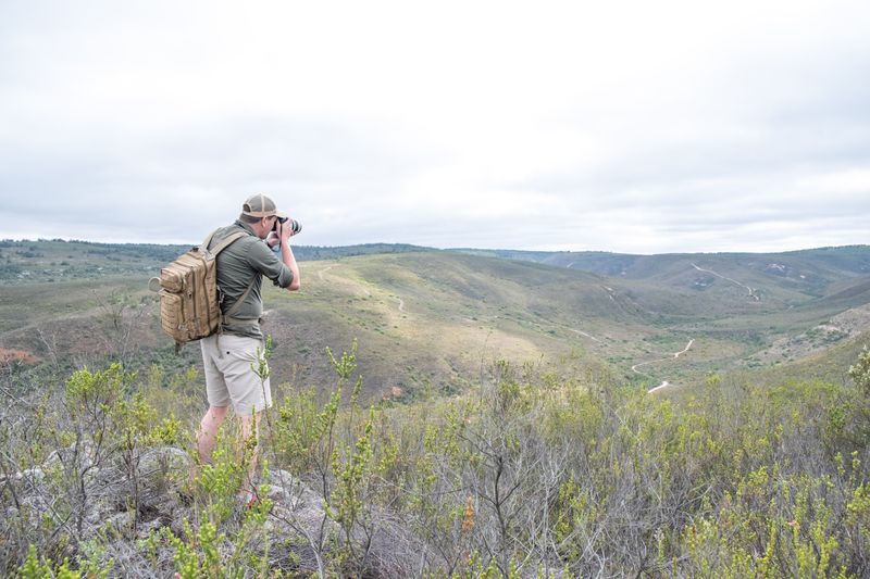 Safari im Gondwana Reservat an der Garden Route