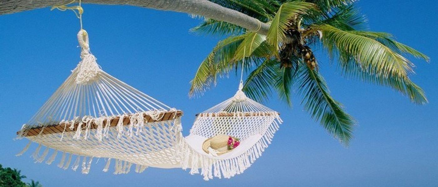 Duo gagnant : Safari et plage de sable blanc