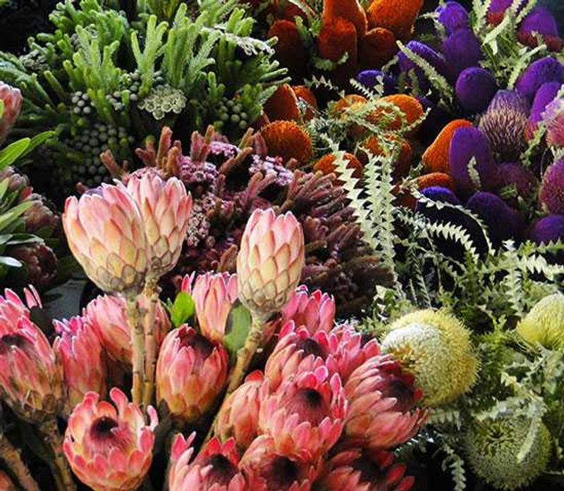 Adderley Flower Market