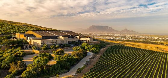 Découvrez les Merveilles des Vignobles du Cap