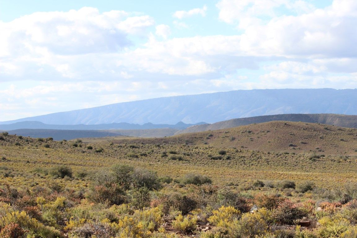 Safari im Sanbona Wildlife Reserve | Review 2022