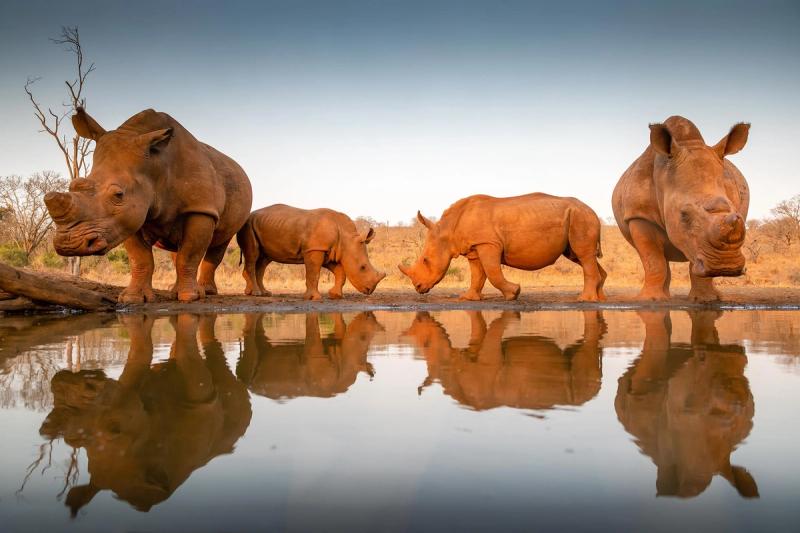 As viagens internacionais para a África do Sul são novamente possíveis