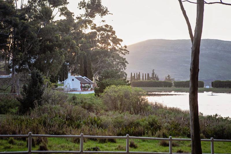 View of Hamilton Russell Vineyards Tastiing Room in Hemel-en-Aarde valley
