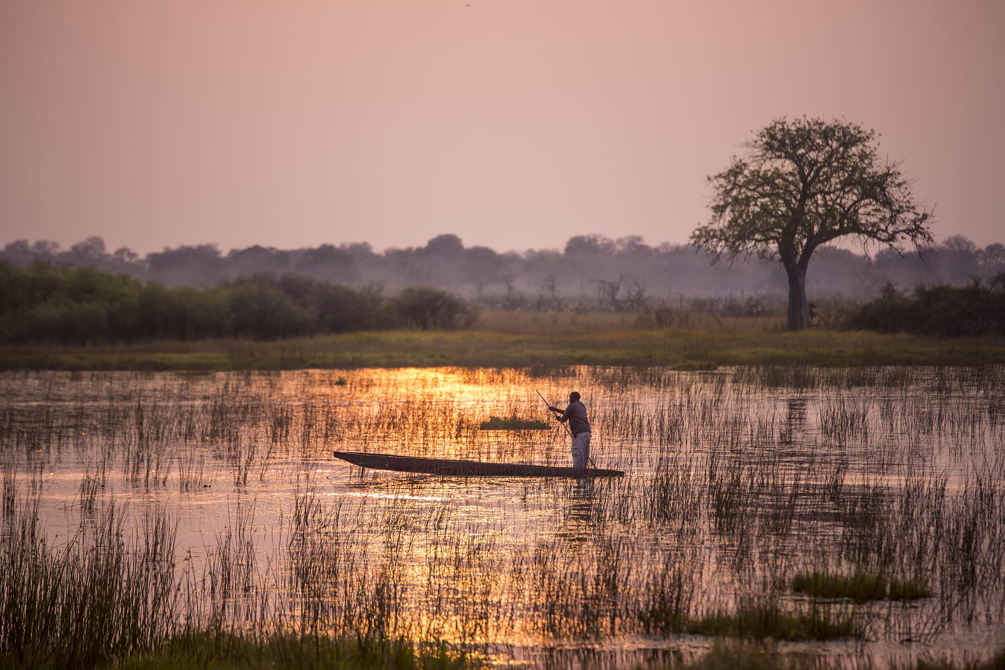 A Drone Through Botswana
