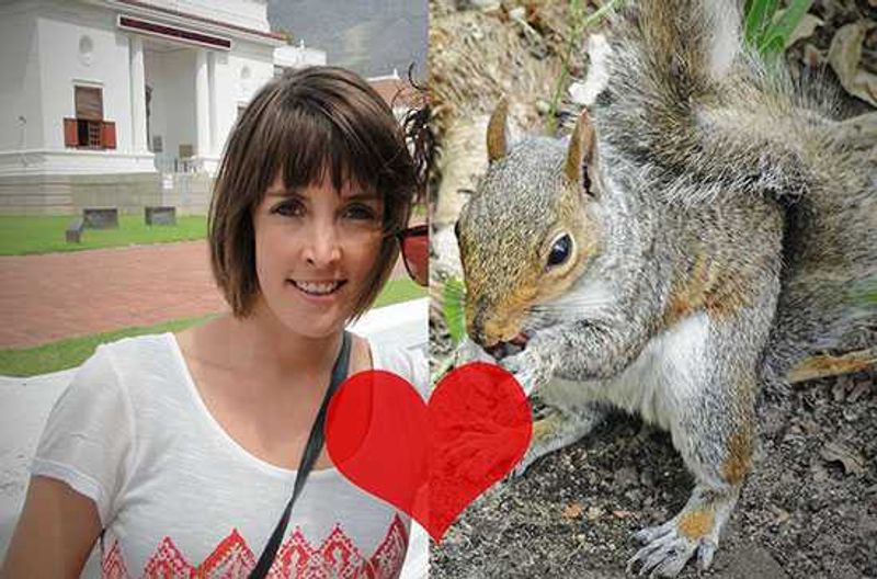 Poodle made me this beautiful image as a 'consolation prize.' Of course its real purpose is to compare my eating habits to those of a squirrel. Real subtle.