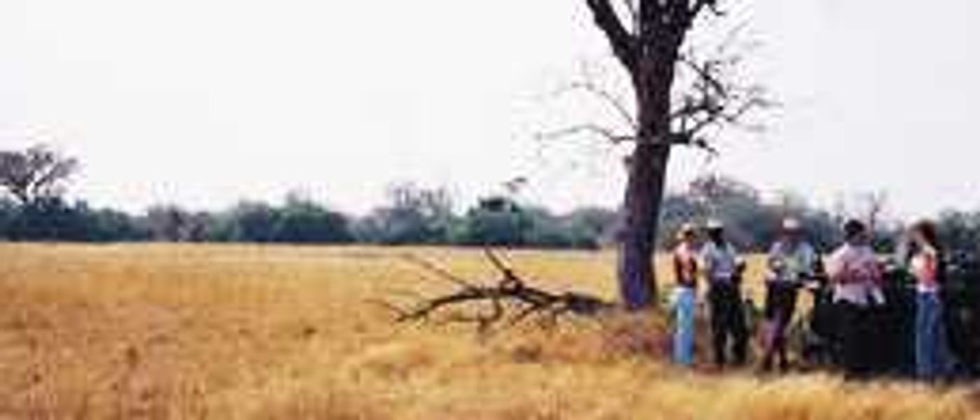Kruger in the morning, Vic Falls in the afternoon!