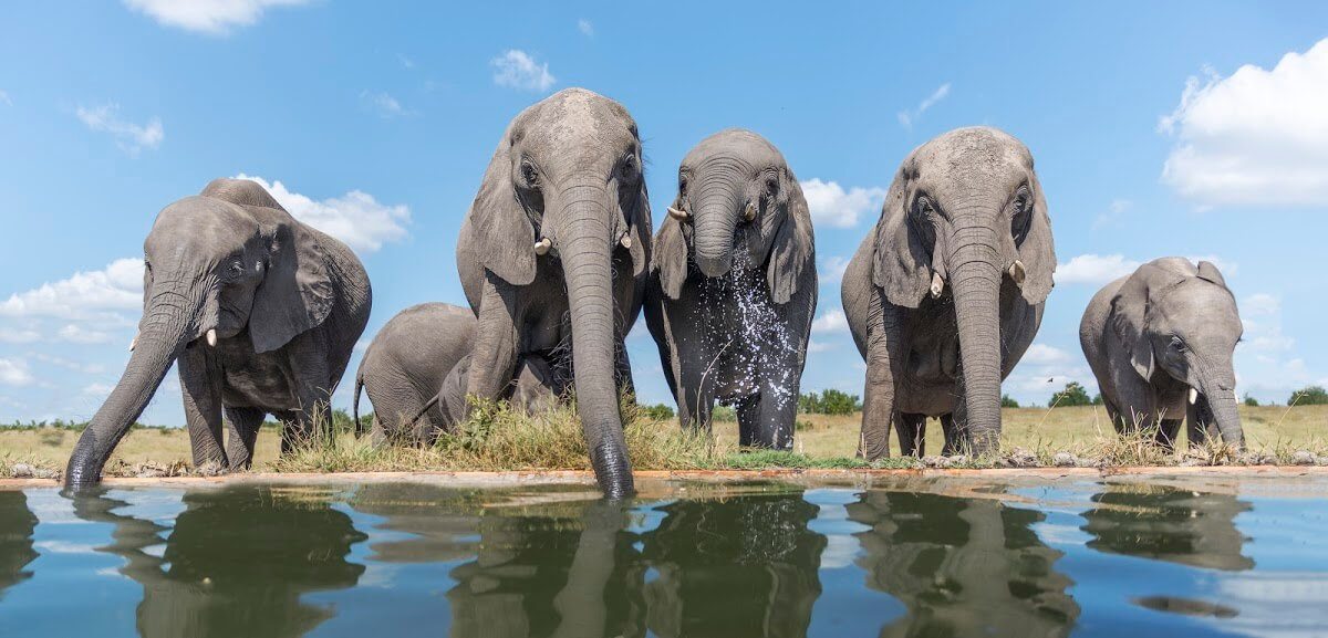 Notre photographe est revenu du Zimbabwe avec ses plus beaux clichés