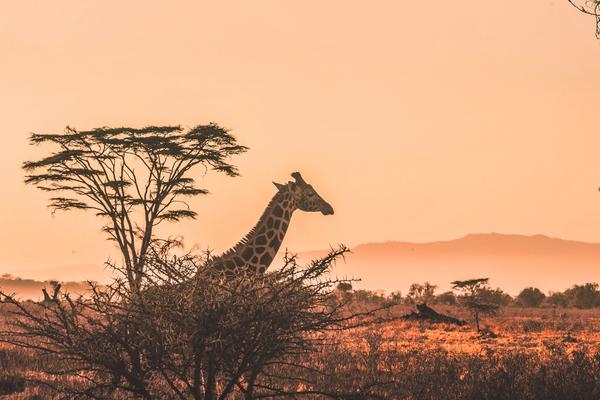 7 Destinations to Make You Fall in Love with Africa