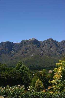 Stellenbosch and Franschhoek