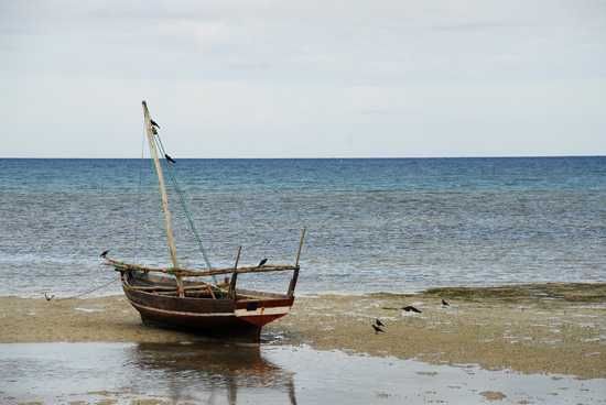 When the tide goes out, boats are left abandonned on shore, Zanzibar