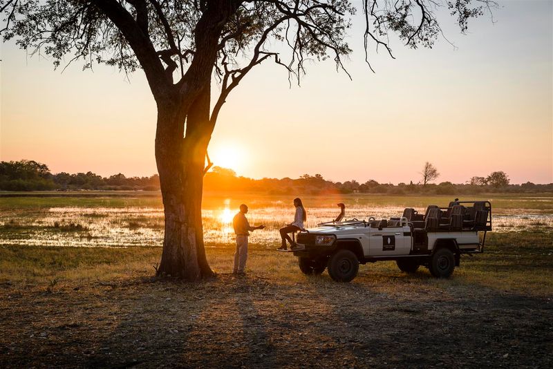 Explore as principais acomodações de safári de luxo do Botsuana conosco